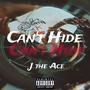 Can't Hide (Explicit)