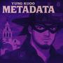 Metadata (Explicit)