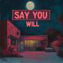 Say You Will