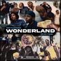 Wonderland (feat. Skan Twin) [Explicit]