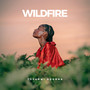 Wildfire