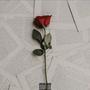 Flowers on raps (Explicit)