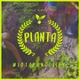 Planta