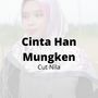 Cinta Han Mungken