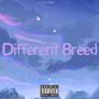 Different Breed (Explicit)