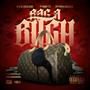 BAG A ***** (feat. OTG GEEZIE & DUBB NICHE) [Explicit]