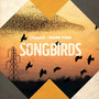 Songbirds