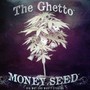 Money Seed