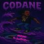 Codane (feat. JaeDaDon) [Explicit]