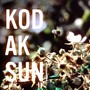 Kodak Sun