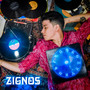 ZIGNOS