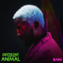 Different Animal (Explicit)