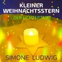 Kleiner Weihnachtsstern (Der Lichtertanz)