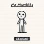 Mr Mumbles