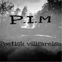 Poetisk Villfarelse