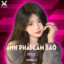 Anh Phải Làm Sao (Remix)