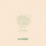 Ocotillo (Live)