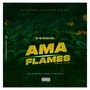 Ama Flames (feat. Snj dokotela, Skenqezane, King Nexo & Ntandane) [Explicit]