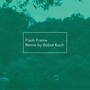 Flash Frame (Robot Koch Remix)