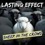 Sheep in the Crowd