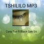 Tshililo (feat. Black Gee SA) [Explicit]