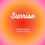 Sunrise (feat. Ken Goldberg)