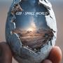 SMALL WORLD