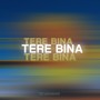 Tere bina (Acoustic Version)