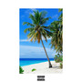 Island (Explicit)