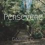 Persevere