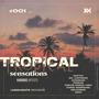 Tropical Sensations