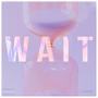 Wait (Explicit)