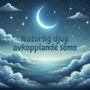 Naturlig djup avkopplande sömn: Regn på natten, vågor för sömn, syrsor, god natt
