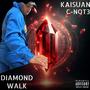 Diamond Walk (feat. C-Not3) [Explicit]