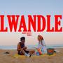 LWANDLE (feat. SBAHLE)