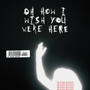 Oh, How I Wish You Were Here (Explicit)