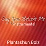 Say You Believe Me (Instrumental Version)