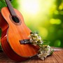 Serenity Spa: Relaxation with Guitar Music