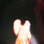 faller