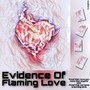 Evidence Of : Flaming Love