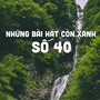 Những Bài Hát Còn Xanh Số 40