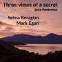 Three Views of a Secret (Luminous Mix)