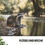 Flüsse und Bäche: Melodien des Wassers