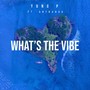 What's the Vibe (feat. Antbanga) (Explicit)