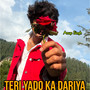 Teri Yado Ka Dariya