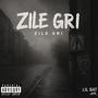 ZILE GRI