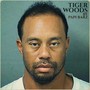 Tiger Woods (Explicit)