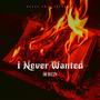 I Never Wanted (Explicit)