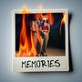 MEMORIES (feat. Acoustc)