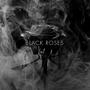 Black roses vol. 1 : Drill time (Explicit)